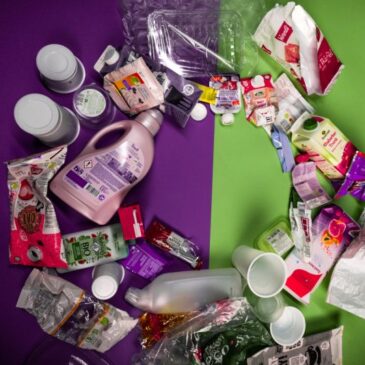 Swiss Recycle: Gründung freiwillige Branchenorganisation für Verpackungen aus Kunststoff und Getränkekartons